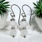 Titanium Moonstone Earrings