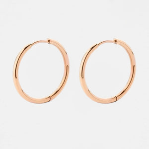 Small Hoop Earrings