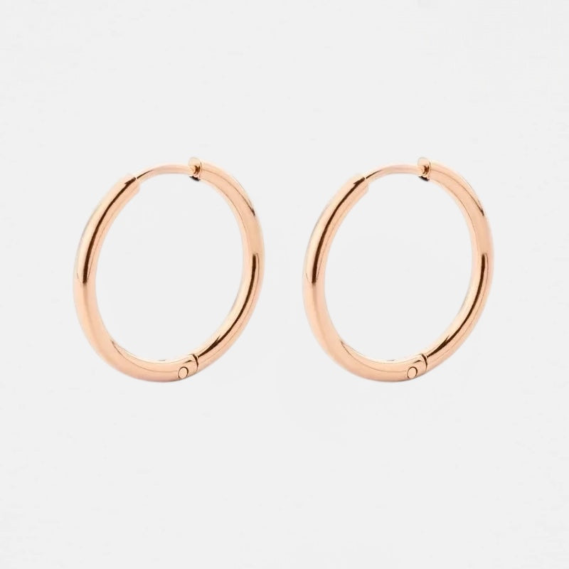 Small Hoop Earrings