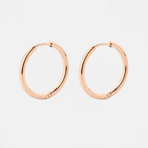 Small Hoop Earrings