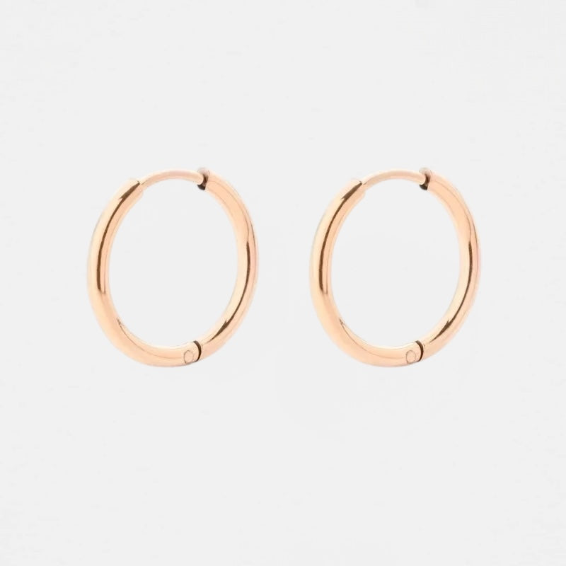 Small Hoop Earrings