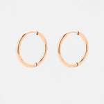 Small Hoop Earrings