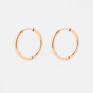 Small Hoop Earrings