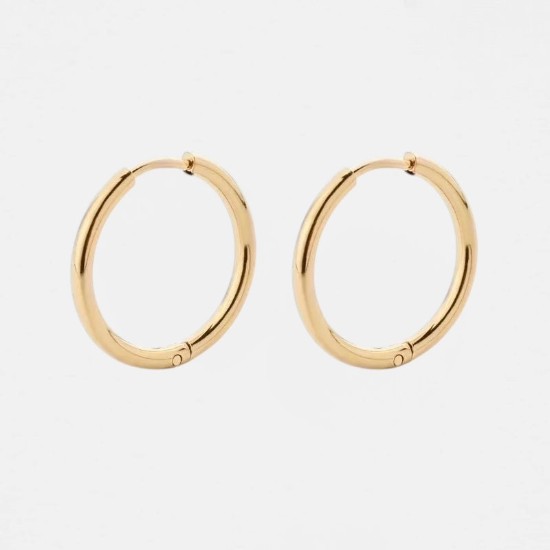 Small Hoop Earrings