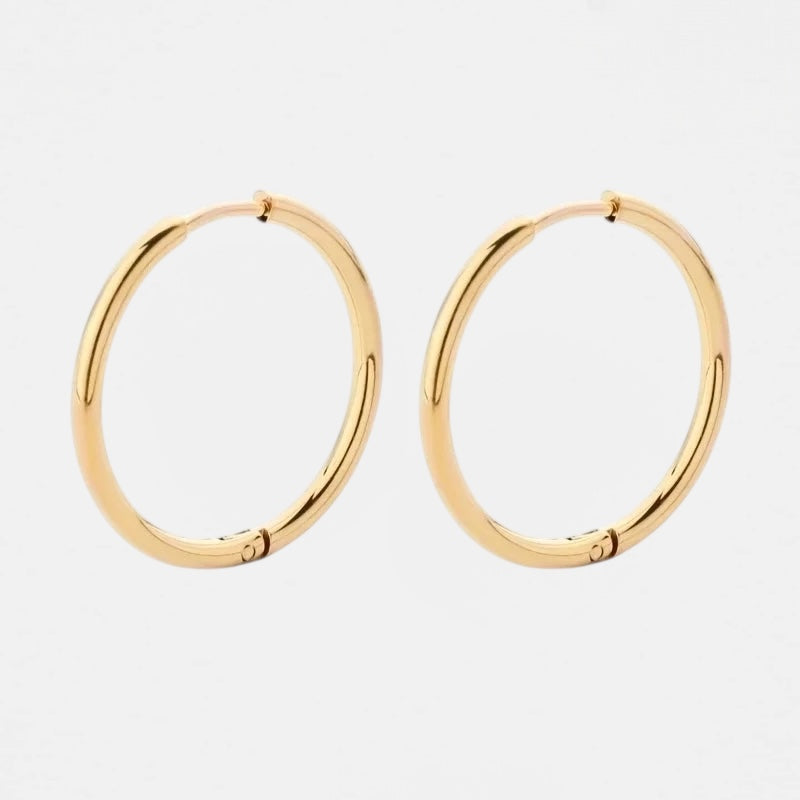 Small Hoop Earrings